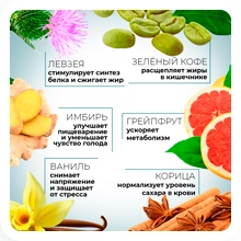 Жиросжигатель. Состав