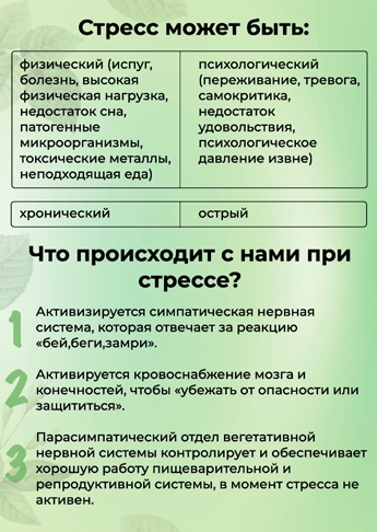 Гайд Здоровый сон 4