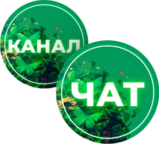 Канал, чат