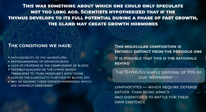 Презентация запуска нового продукта для международной аудитории 2