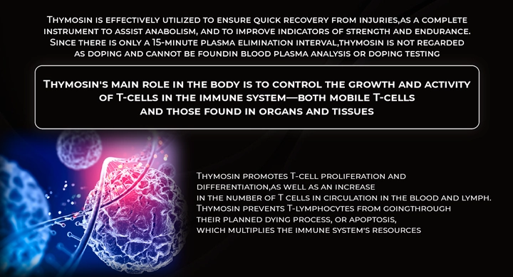 Презентация запуска нового продукта для международной аудитории 3