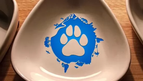 Приволжская академия кинологии