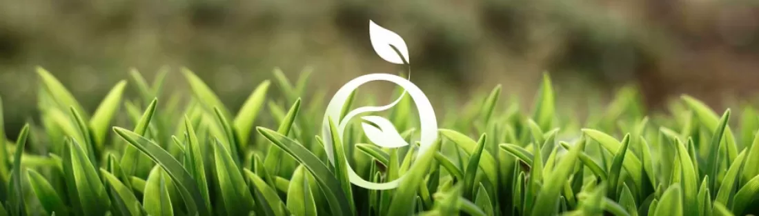 Международная компания по производству экологичного питания и других полезных товаров Perfect Organics