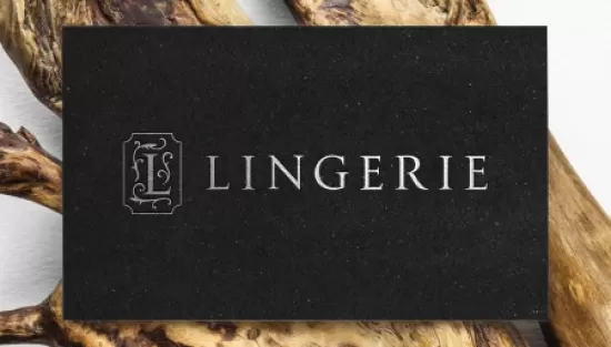 Разработка логотипа и фирменного стиля Lingerie