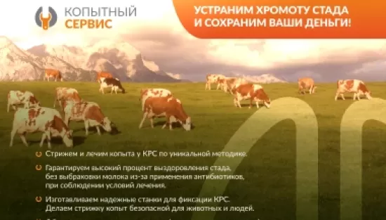 Услуга по обработке копыт у КРС Копытный сервис